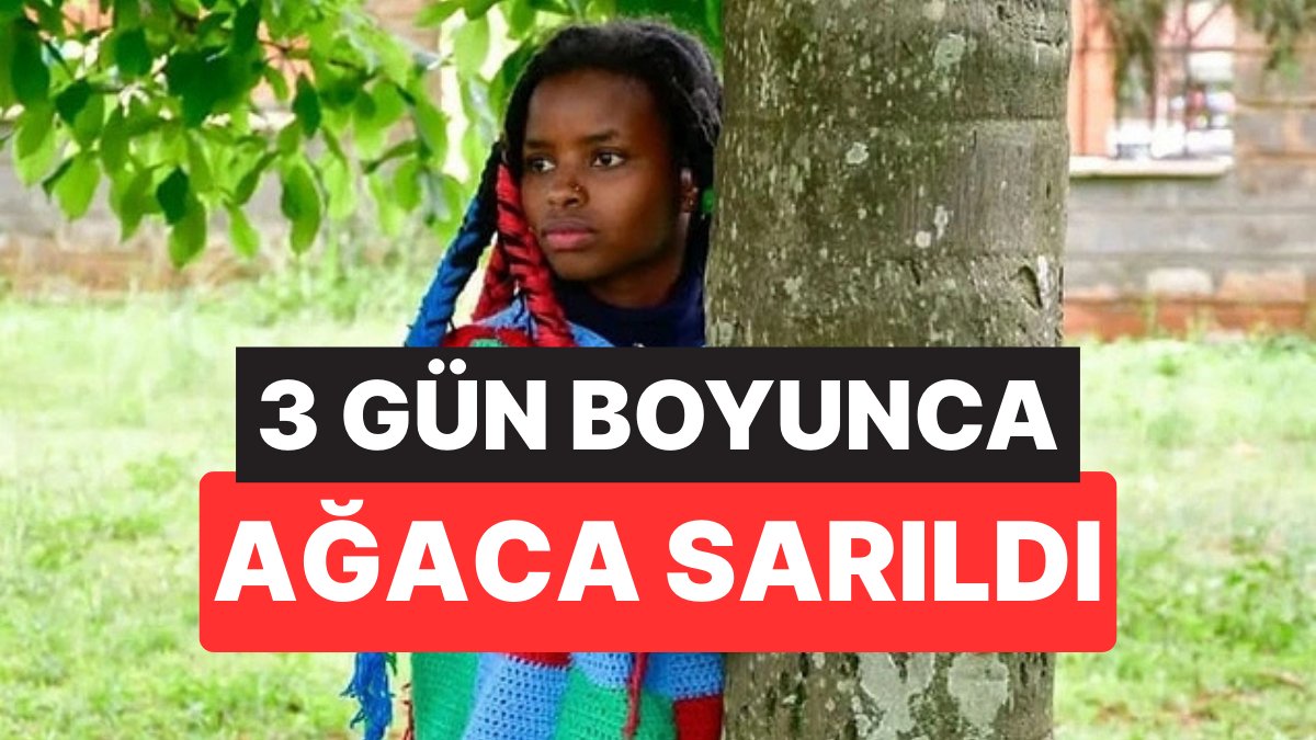 Kenya'lı Çevre Savunucusu Guinness Rekorları'na Katıldı: 72 Saat Ağaca Sarılı Kaldı