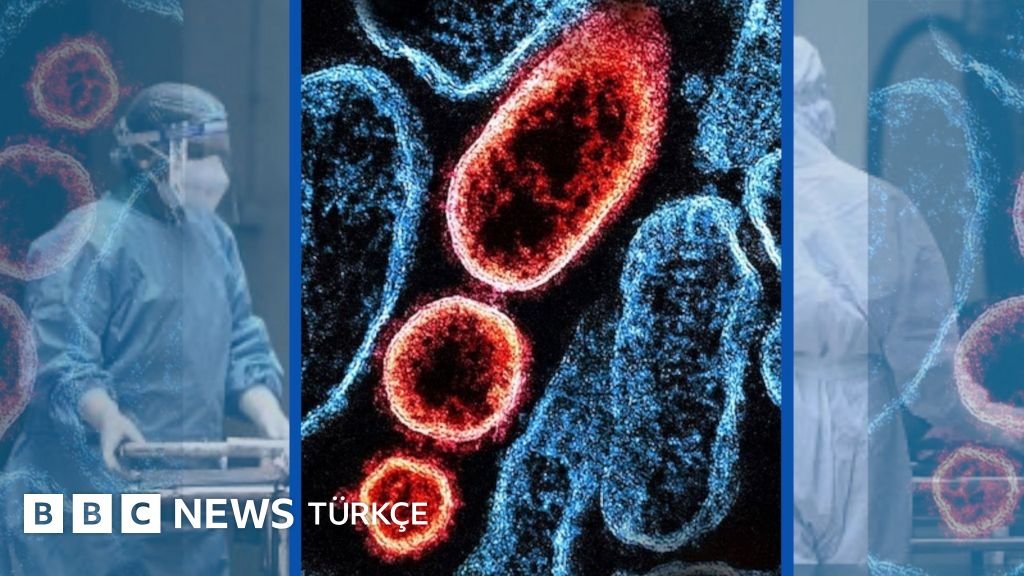 Nipah Virüsü Nedir, Yayılım Şekli ve Tehlike Derecesi Nasıldır?