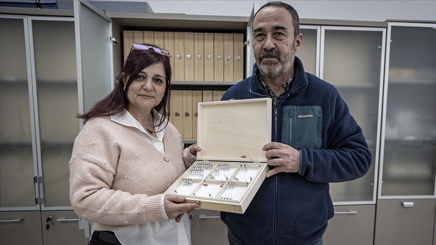Araştırmacı Çift, Yeni Keşfettikleri Böcekleri Şehir Ve Bitki İsimleriyle Tanıttı