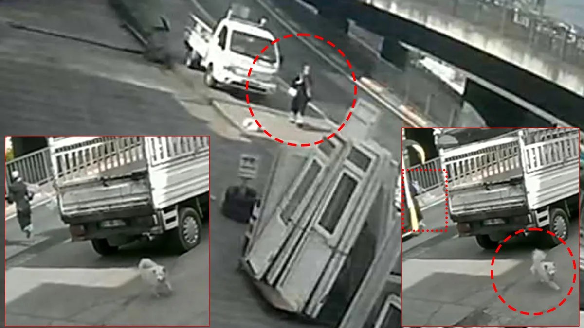 Son Anlarda... Sokak Köpeğinden Kaçarken Otobüs Vurdu! Cennet Nesibe Gül Hayatta Kalma Mücadelesi Veriyor...
