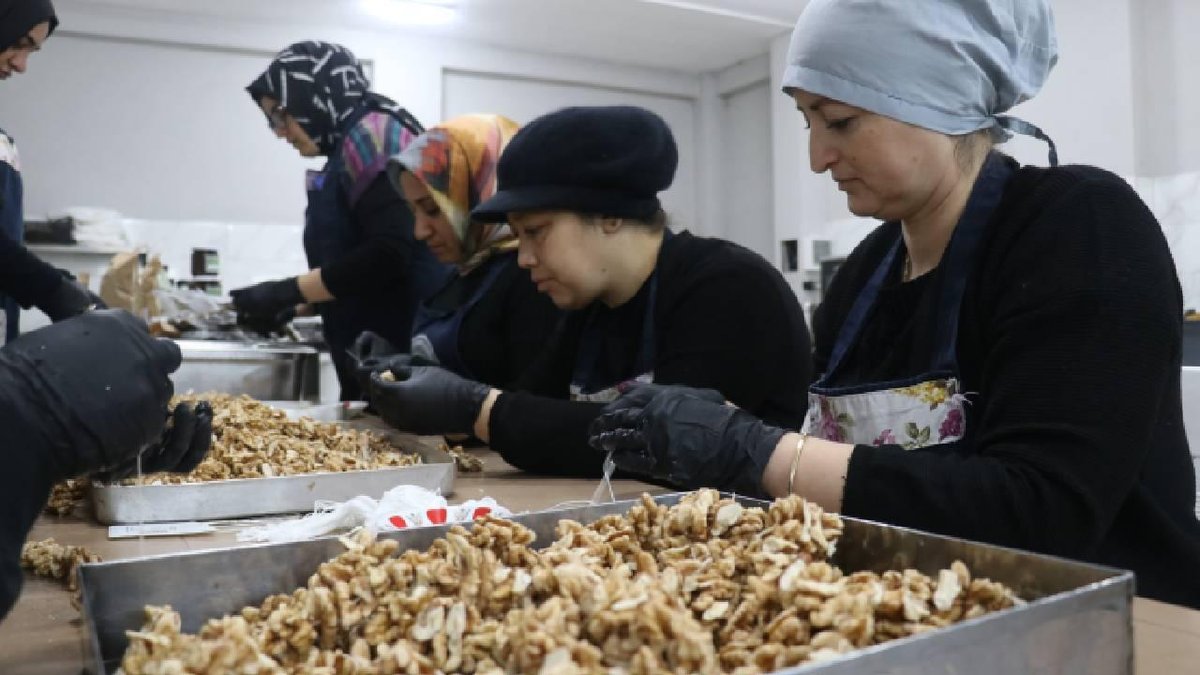 KOSGEB, 53 Bin Küçük İşletmeye Yardımda Bulunacak