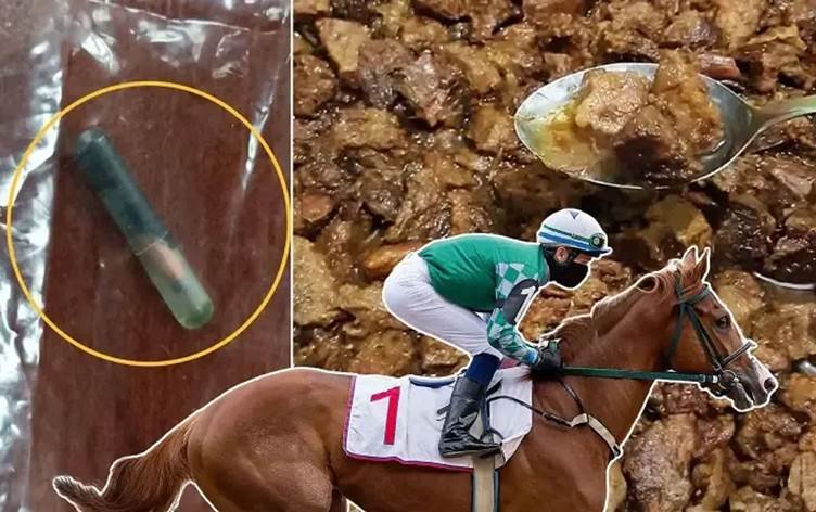 Şampiyon Yarış Atı Kesildi, Kavurma Oldu: Kimlik Çipi Aşevinde Bulundu