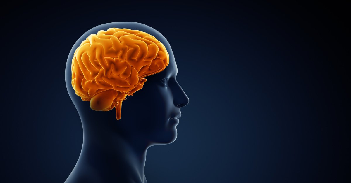 Alzheimer Riski Yüzde 45 Oranında Azaltılabiliyor