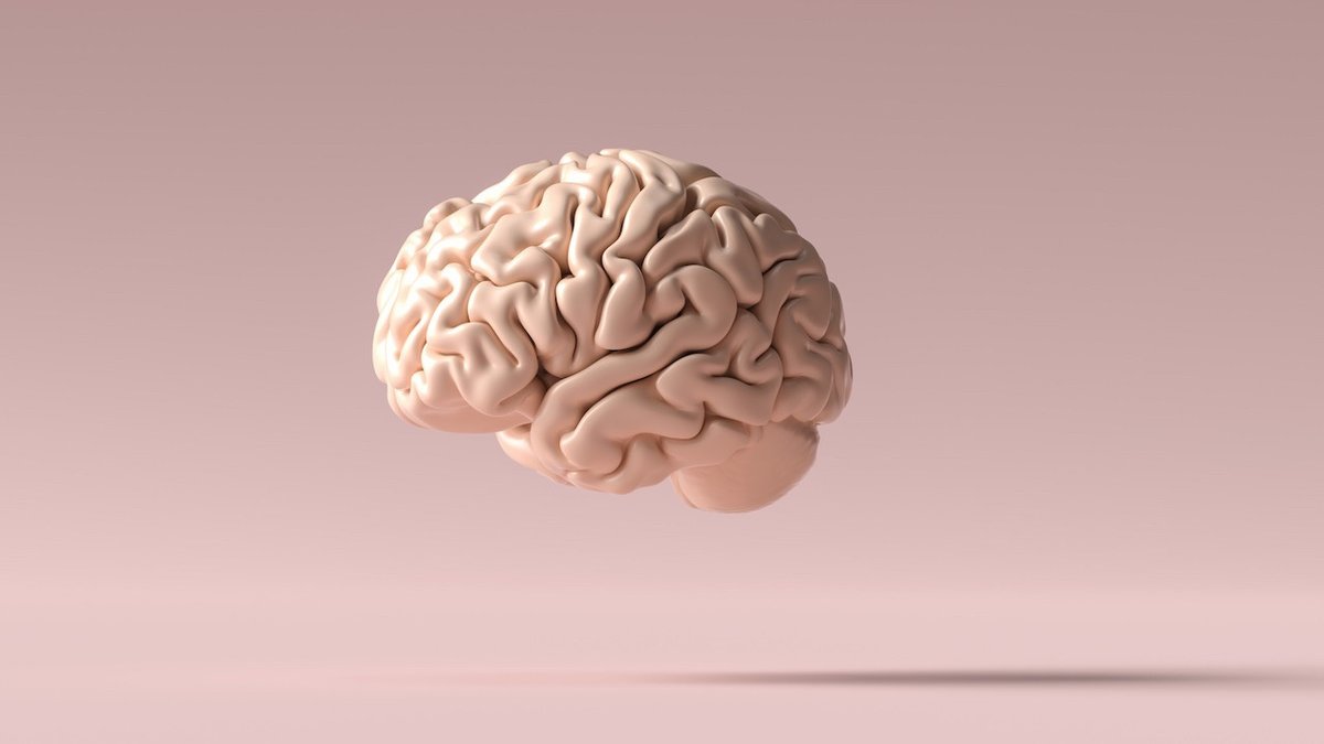 PTSD Ve Anksiyete Tedavisinde Umut: Bilim İnsanları Korkuyu Geçici Olarak Silmeyi Başardı