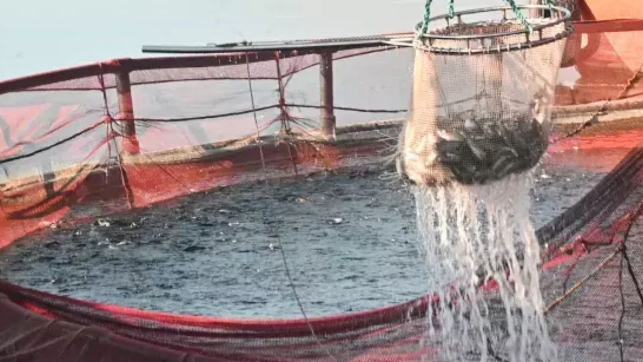 81 İlde Eş Zamanlı Fahiş Fiyat Denetimi: İki Reyon Özellikle Mercek Altında