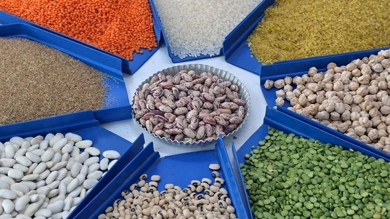 Hububat ve baklagiller için lisanslı depolamada süre değişti: Yeni dönem 2026’da başlıyor