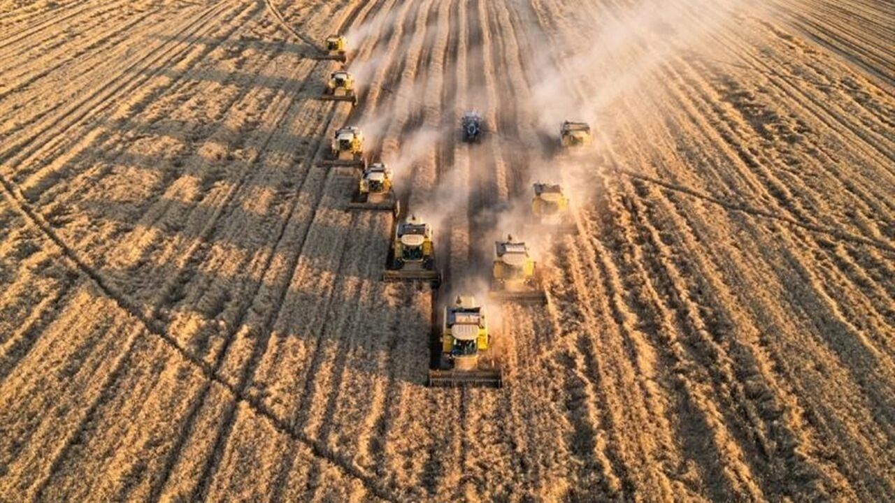 TMO Hububat Alımında Rekor Kırdı: Miktar 12,3 Milyon Tona Ulaştı