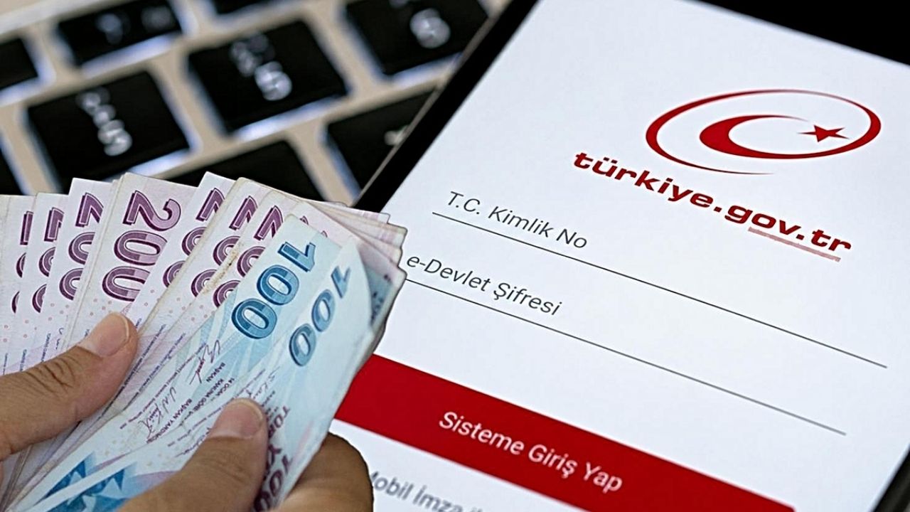 Fon Yatırımcılarına Önemli Uyarı: E-Devlet’te Bu Koda Dikkat
