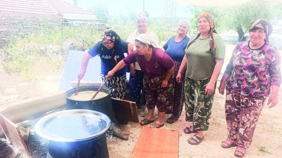 Zeytinlerden Ormanlara Türkiye Genelinde Doğa Mücadelesi Büyüyor