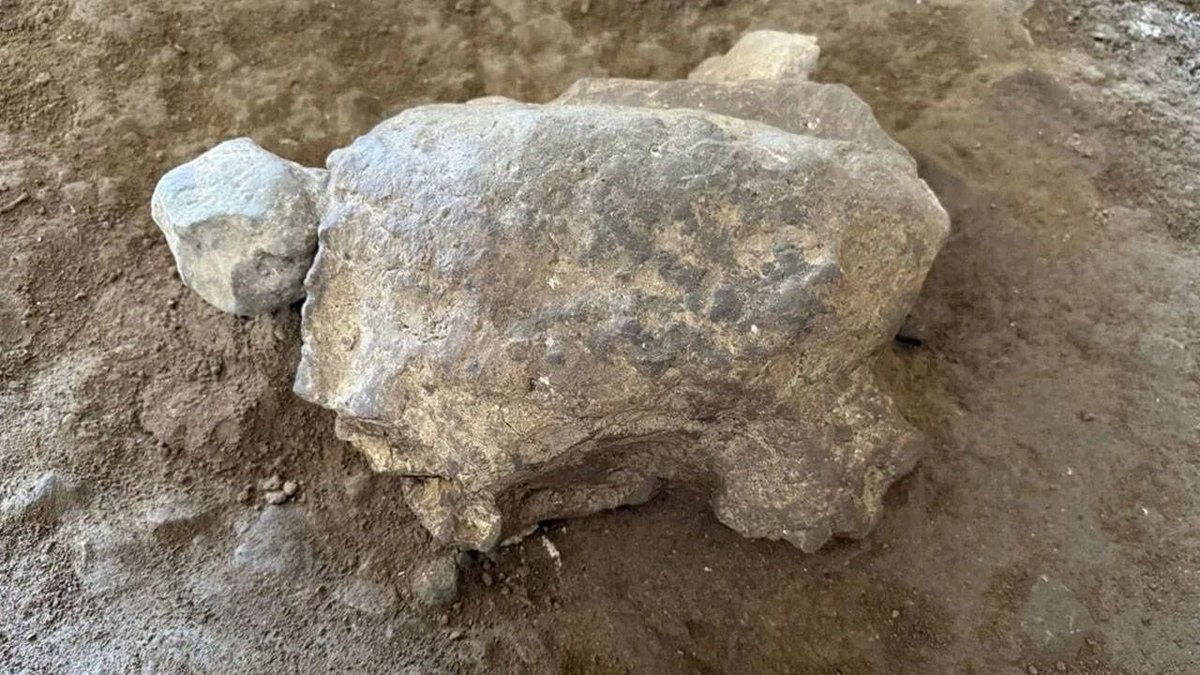 Bilecik’teki Mağarada Binlerce Yıllık Kaplumbağa Heykelcikleri Ortaya Çıkarıldı