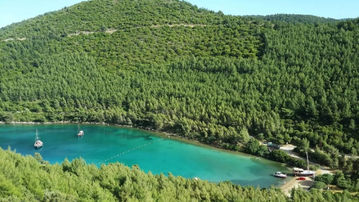 Bodrum’daki Doğal Sit Alanına Otel Projesine “ÇED Gerekli Değildir” Kararı Tepki Çekti
