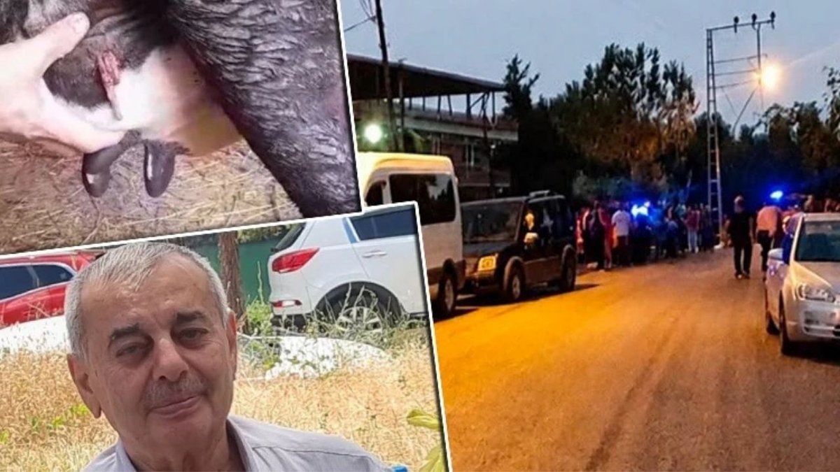 Samsun'daki Silahlı Kavganın Ardından Şaşırtan Detay: Mermi İneğin Memesine İsabet Etti