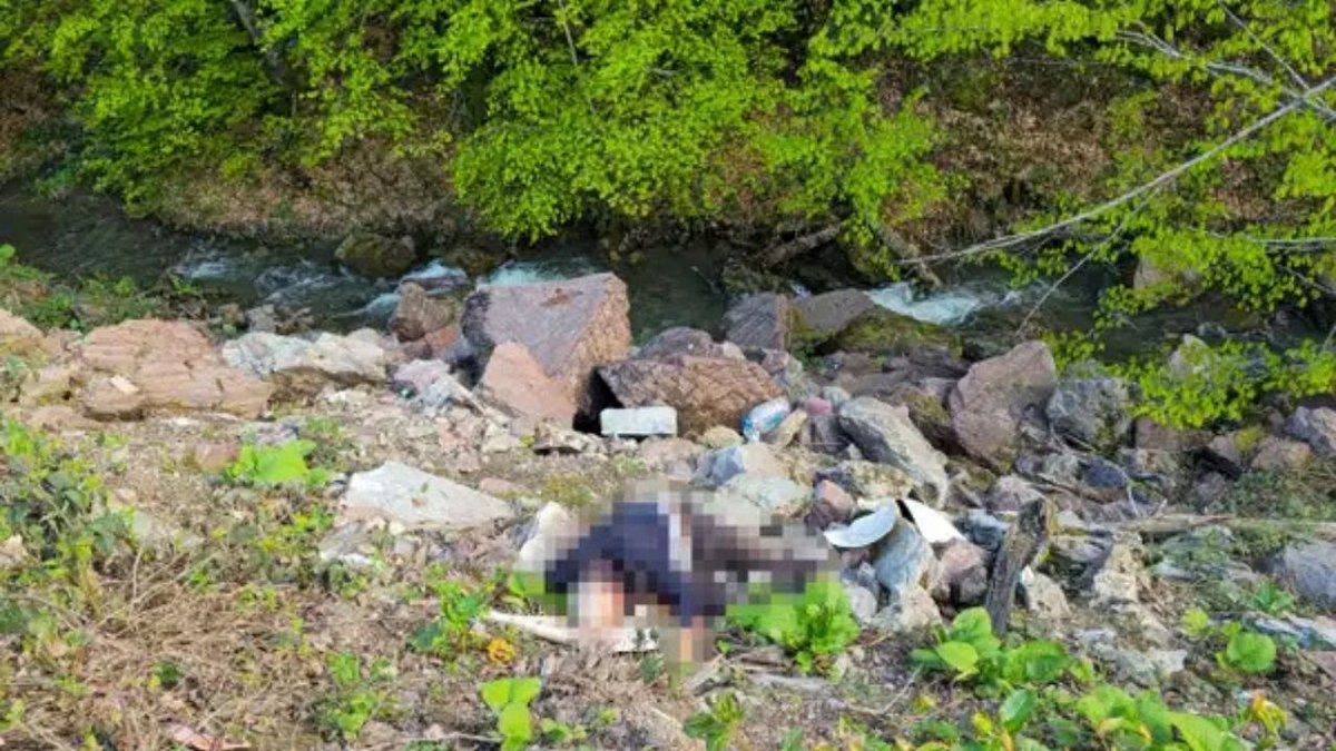 Düzce’de Kan Donduran Cinayet Çözüldü: Yayla Yolunda Bulunan Cesedin Sırrı Ortaya Çıktı