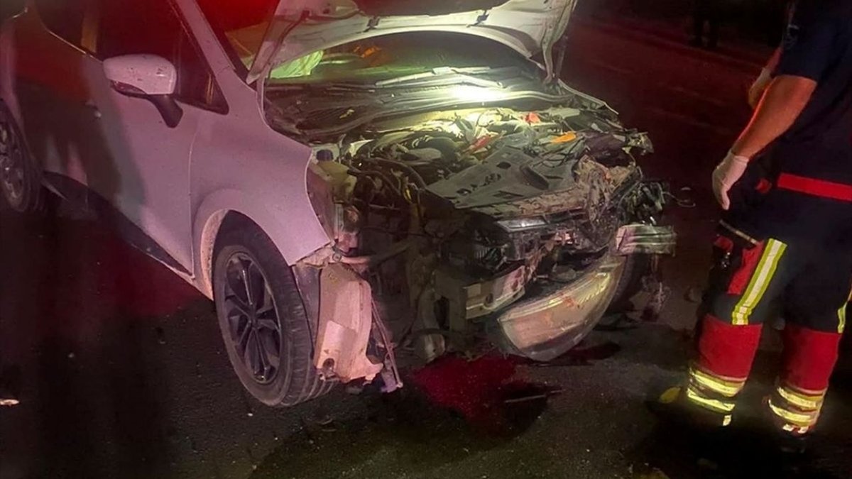 Balıkesir’de Feci Kaza: Otomobilin Çarptığı 7 Küçükbaş Hayvan Telef Oldu