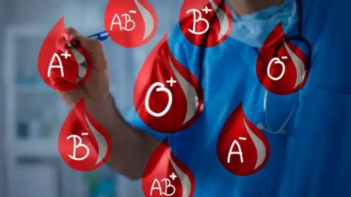Kan Grubunuz Karakterinizi Belirliyor Mu Japonların Yıllardır Konuştuğu Teori Gündemde
